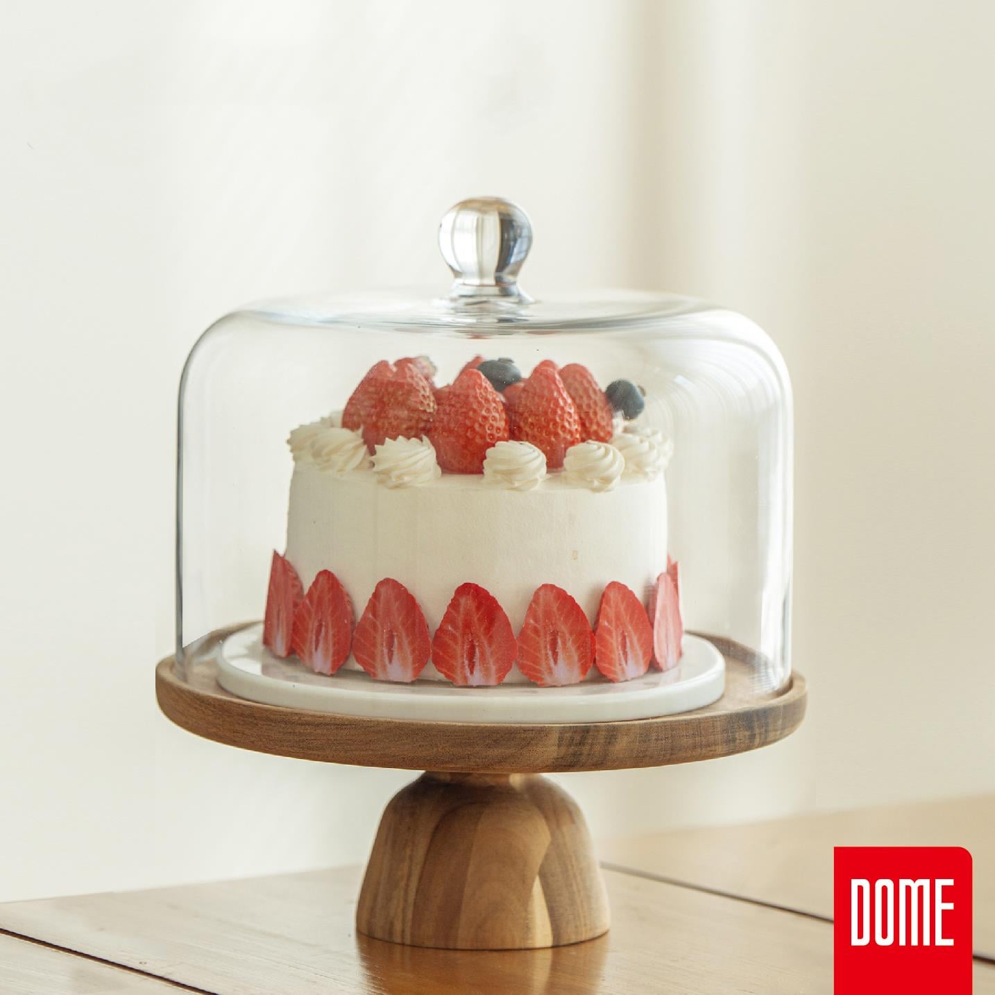 Mien Homes Akasya Standli Cam Fanus