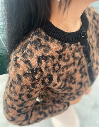 LEOPAR DESEN YUMOŞ HIRKA