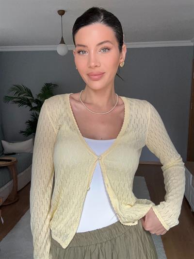 Pinterest Limon Hırka