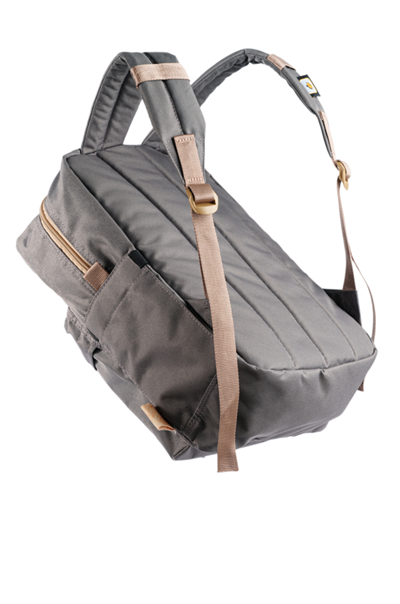 Şanslı Fare ve Uğur Böceği