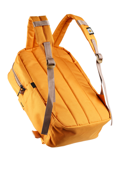 Şanslı Fare ve Uğur Böceği