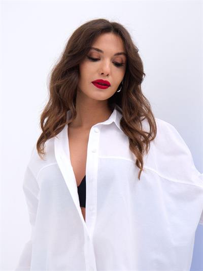 6816 GÖMLEK-DALLAS ÇİZGİLİ