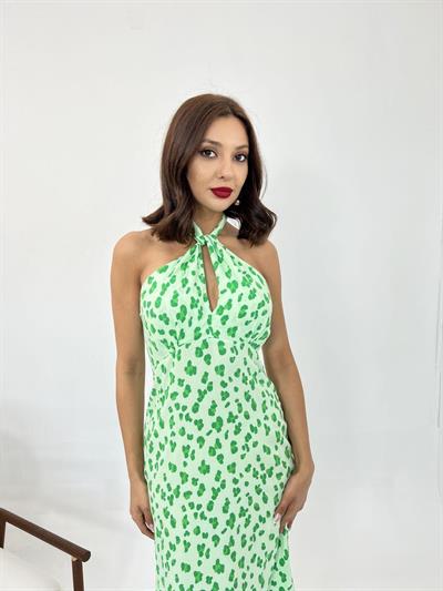 7062 ELBİSE-BOLOGNA