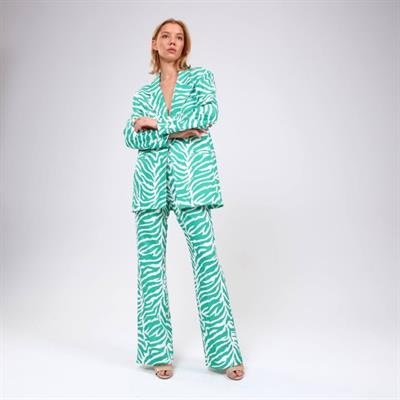 Di̇ji̇tal Baski Zebra Desenli̇ Ceket