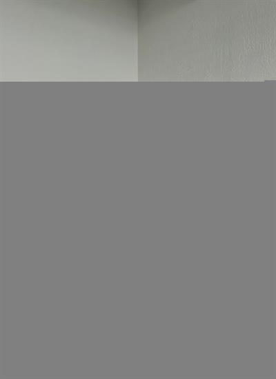 Dört Düğme Çi̇zgi̇li̇ Ceket