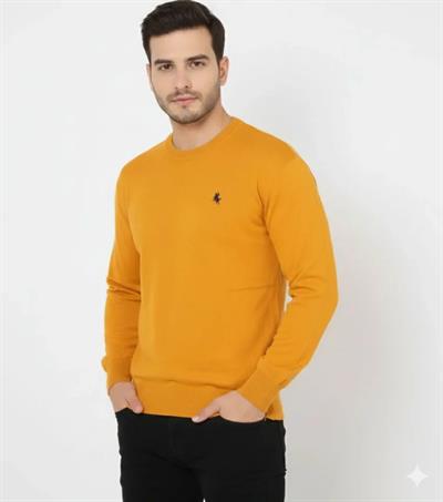 Erkek Bisiklet Yaka Nakış Işlemeli Triko Kazak Yumuşak Dokulu Pamuklu Ince Dokuma, Uzun Kollu Rahat Regular Kalıp - Turuncu