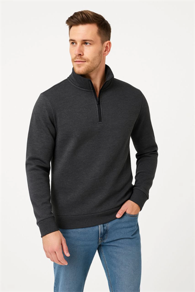 Erkek Dik Yaka Sweatshirt Dik Yaka Yarım Fermuarlı 3 İplik Şardonlu Pamuk Kumaş - Antrasit