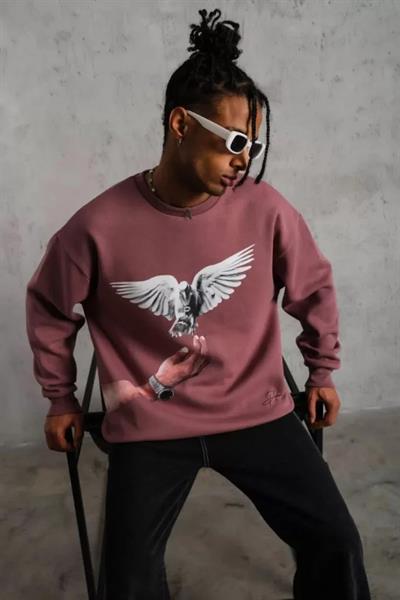 Erkek Güvercin Baskılı Sweatshirt - Gül Kurusu