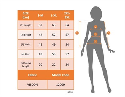 Kadın Kısa Kollu Degaje Yakalı Viskon Bluz