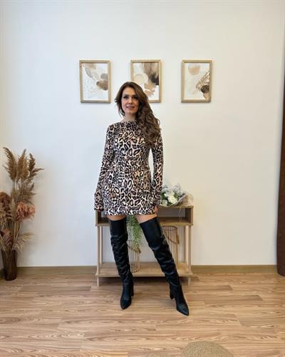 Kadın Uzun Kollu Kayık Yaka Leopar Baskılı Mini Elbise