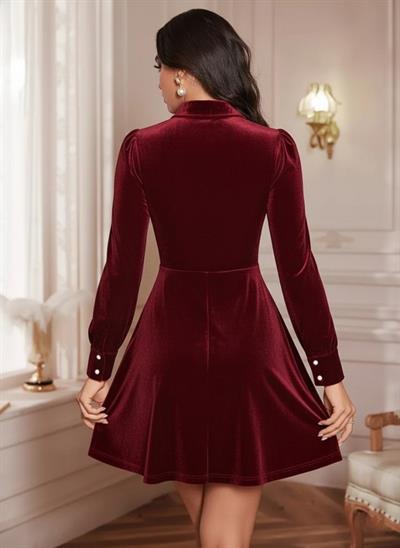 Kadın Uzun Kollu Yakalı Tül Detaylı Incili Mini Kadife Elbise