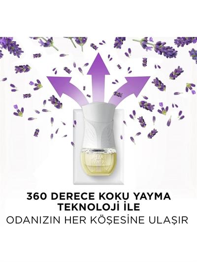 Air Wick Elektrikli Kit Oda Kokusu Lavanta