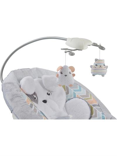 Fisher-Price Sweet Snugapuppy Delüks Ana Kucağı GWD50
