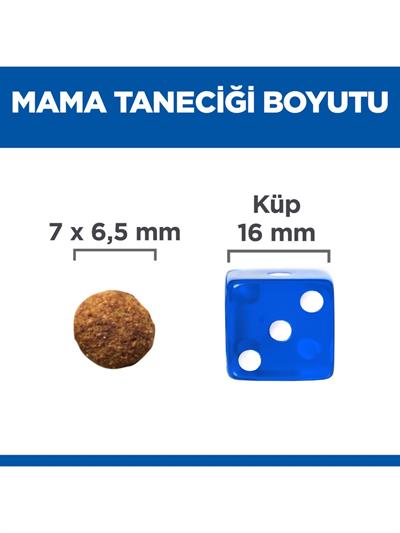 Hills Ton Balıklı Kısırlaştırılmış Yetişkin Kedi Maması 10 Kg