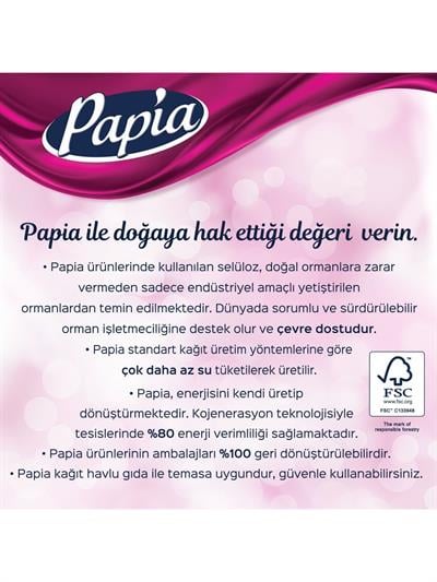 Papia Dekor Kağıt Havlu 12 Rulo