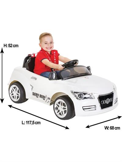 Pilsan Tery Bery 12V Akülü Araba