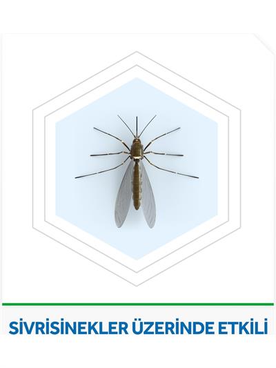 Raid Elektro Likit Yedek 60 Gece Promo Paket 42 ml