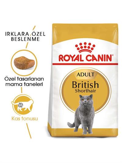 Royal Canin British Shorthair Yetişkin Kedi Maması 4 Kg
