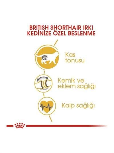 Royal Canin British Shorthair Yetişkin Kedi Maması 4 Kg