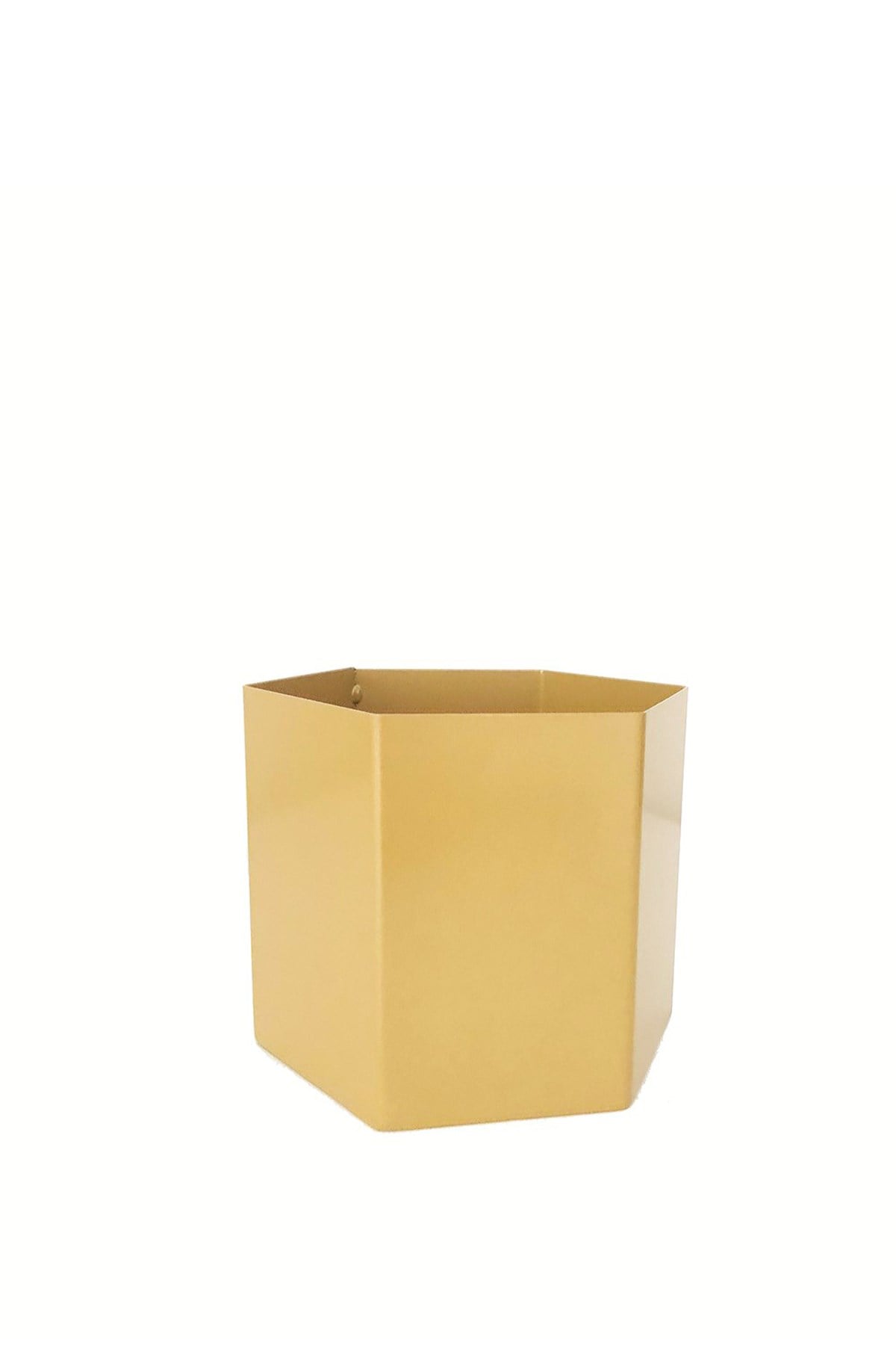 Altıgen Saksılık Sarı