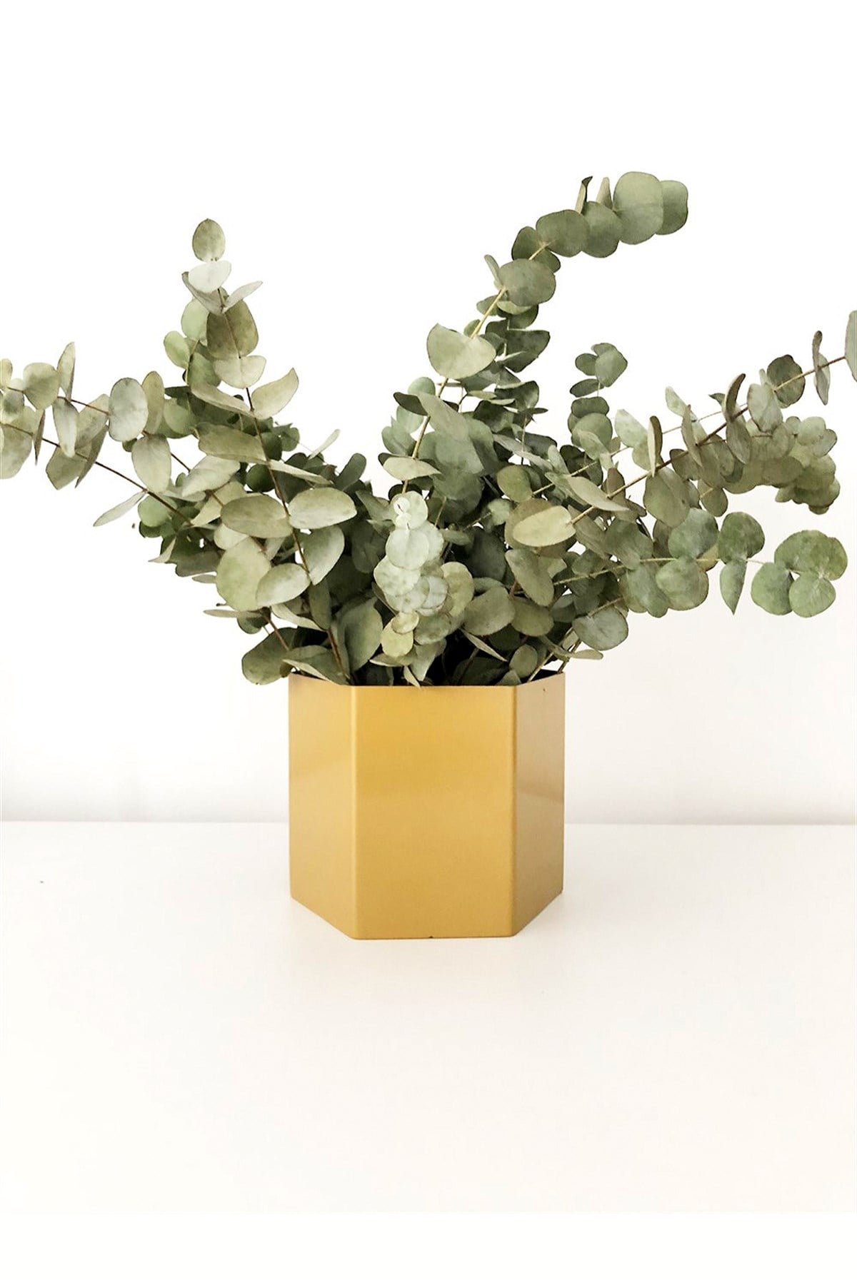 Altıgen Saksılık Sarı