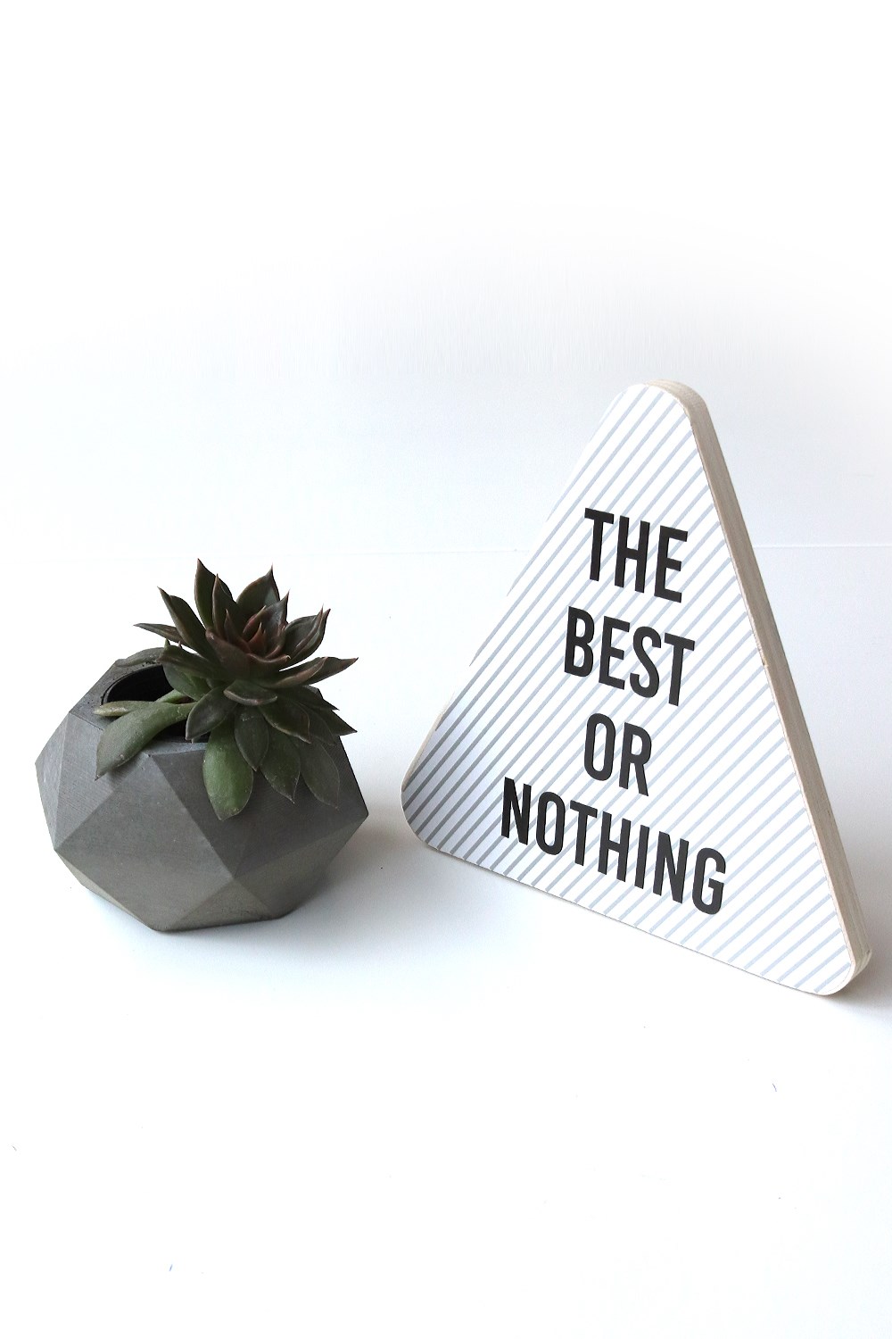 Bitkili beton saksılık çap 11 cm