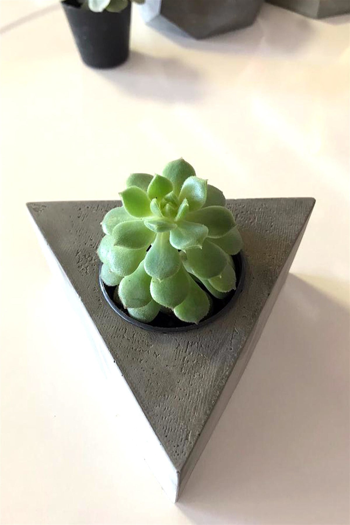 Bitkili beton üçgen saksılık