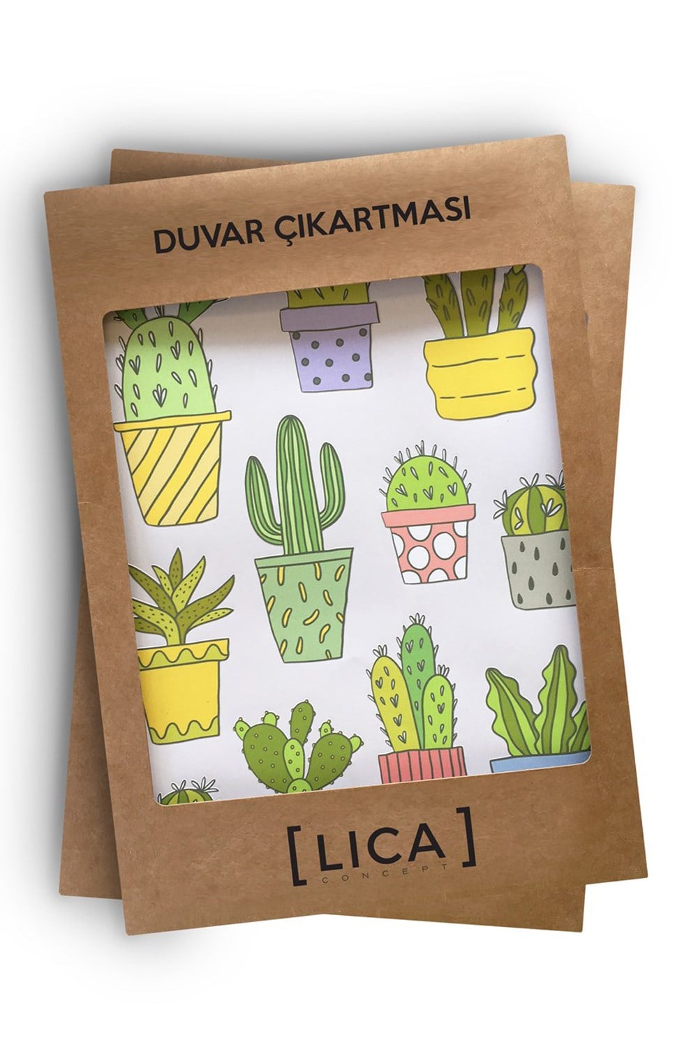 Duvar Çıkartması Kaktüs Tropik
