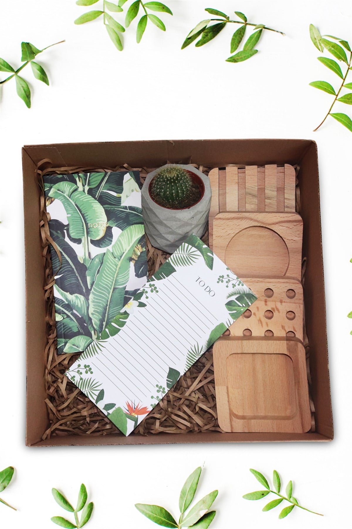 KAKTÜS MUTLULUK KİTİ