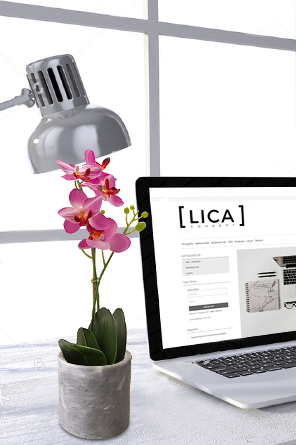 Mermer gri renk saksılık