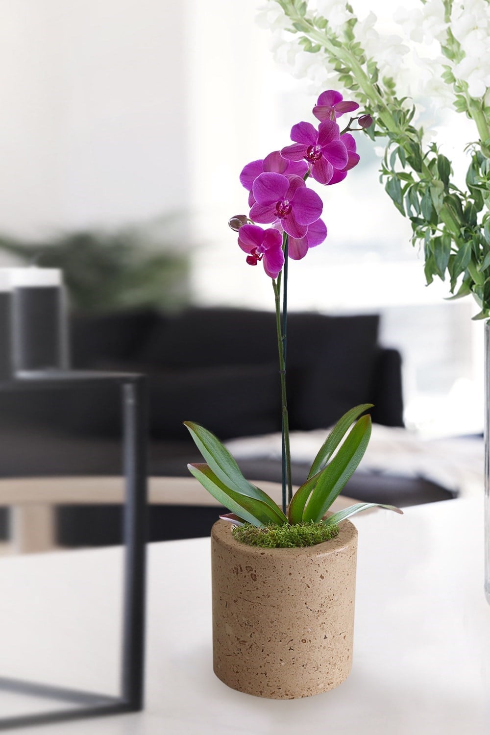 Mermer vizon renk saksı