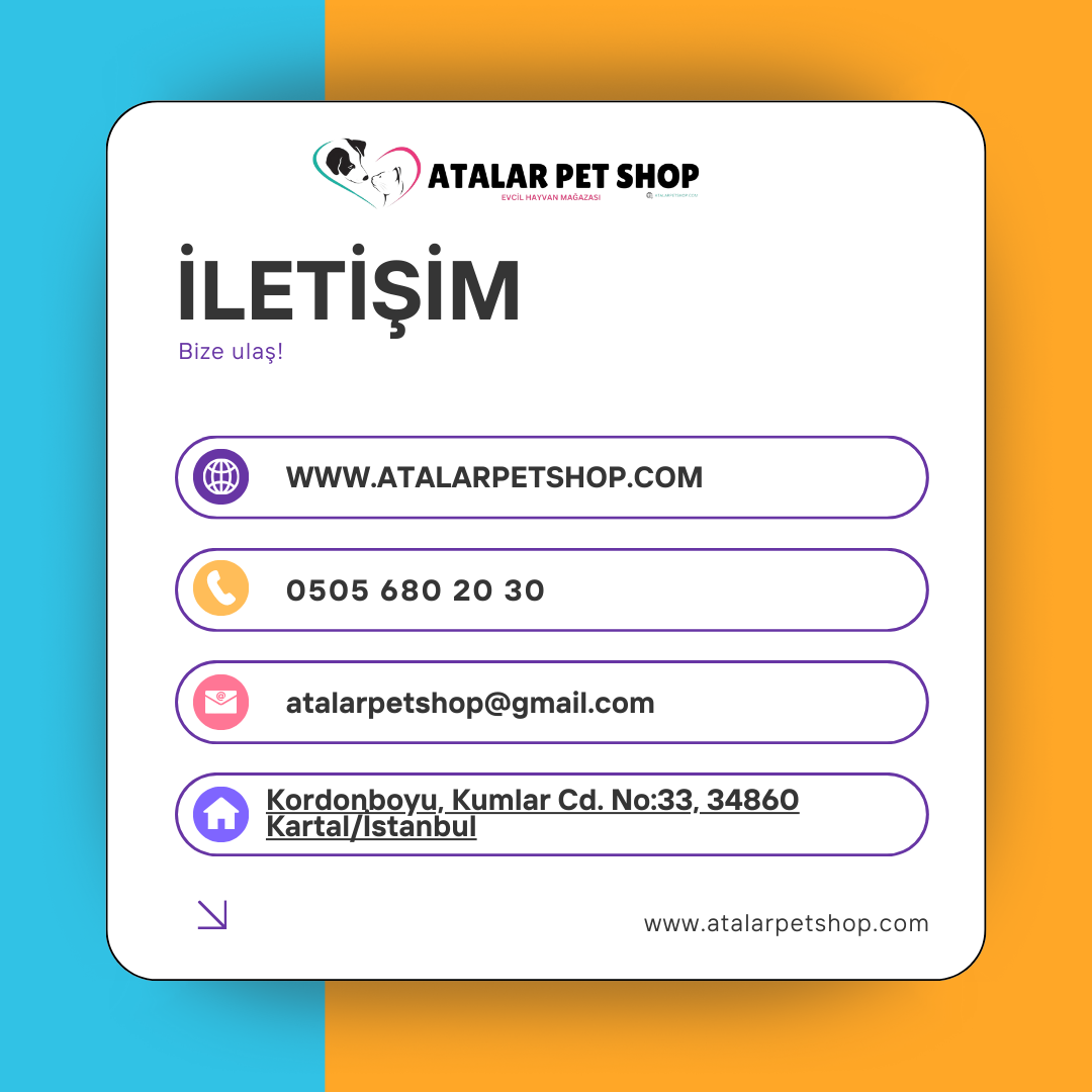 İletişim Bilgileri