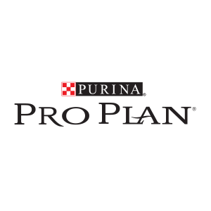 Pro Plan