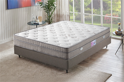 Amore Plus Ortopedik Yatak