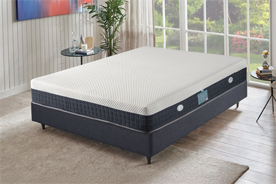 Viscto Therapy Yatak