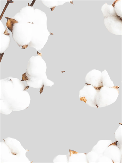 Benetton Kız Çocuk Baskılı Tshirt 1-6 Yaş Somon