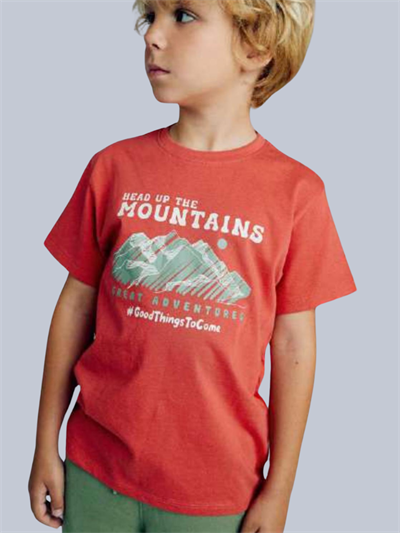 Losan Erkek Çocuk Baskılı Tshirt 3-12 Yaş Kiremit