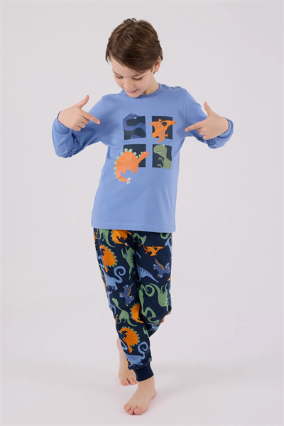 Rolypoly Erkek Çocuk Pijama Takım 2-8 Yaş Mavi