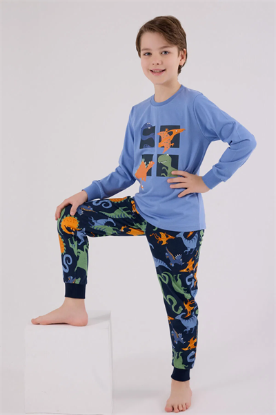 Rolypoly Erkek Çocuk Pijama Takım 2-8 Yaş Mavi