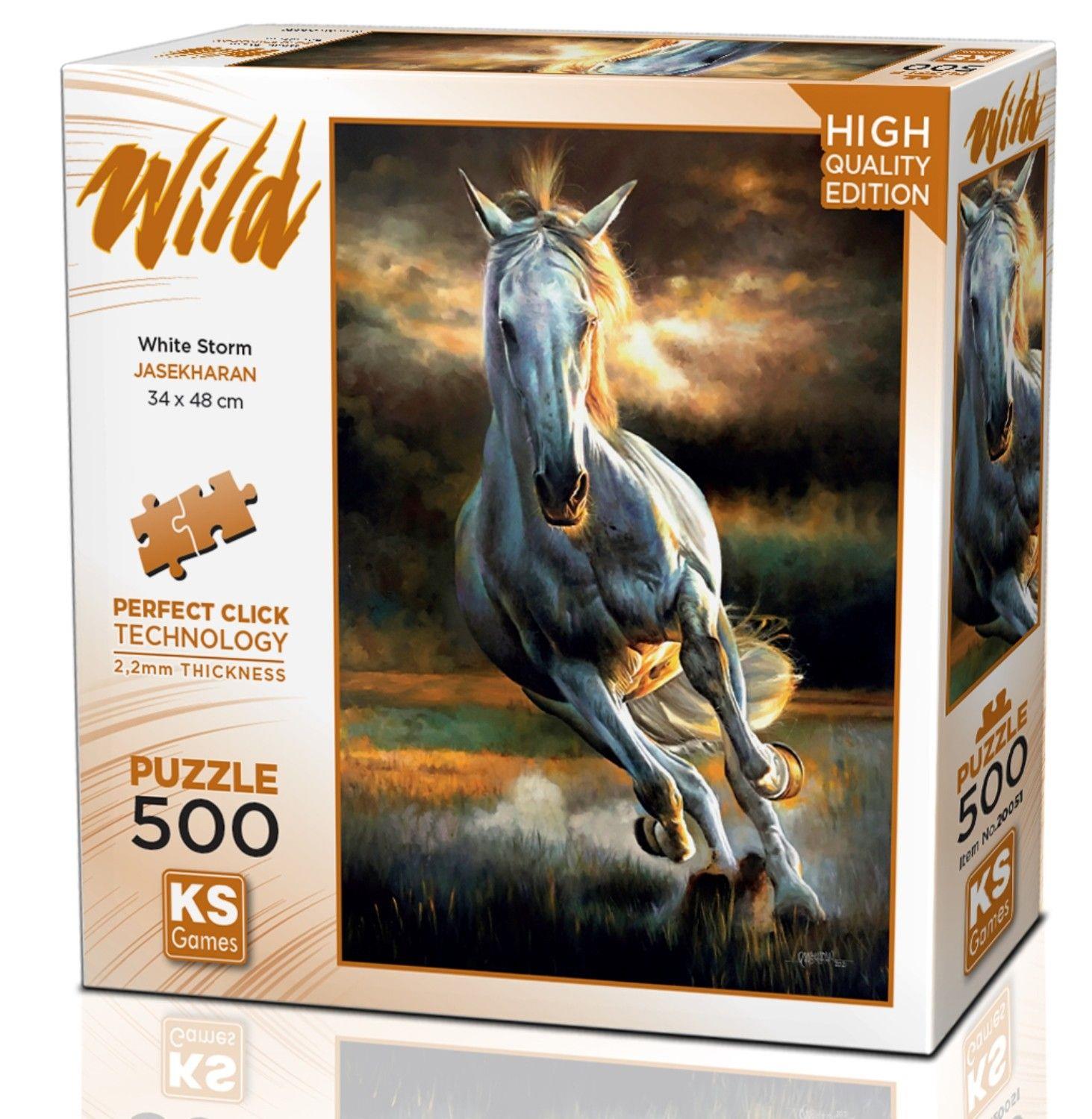 PUZZLE 500 WHITE STORM Diğer 20051