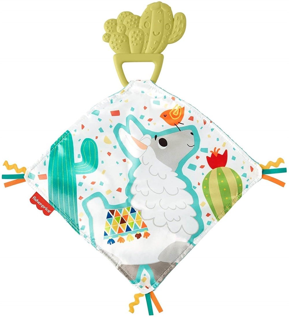 Fisher Price Kaktüs Dişlik GJD38 Fisher Price GJD38