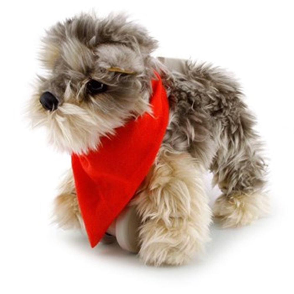 My Puppy Parade Yürüyen Köpek Tanner