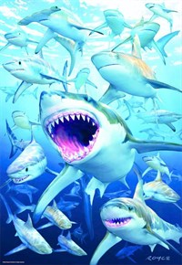EDUCA 500 PARCA SHARK CLUB PUZZLE Toystop HD10785
