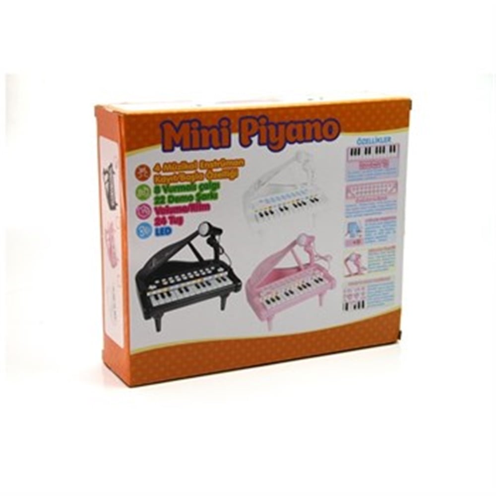 Kutulu 3 Renk Küçük Piyano 