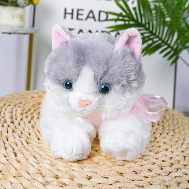 PELUS KEDI Diğer SR807