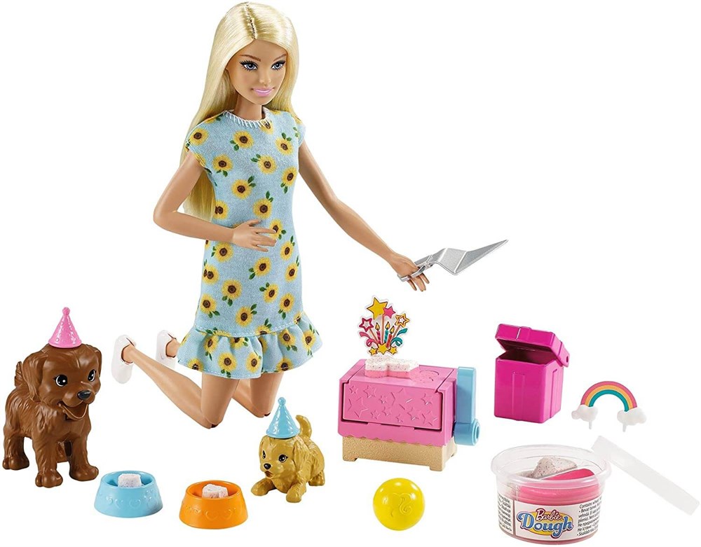Barbie ve Köpek Partisi Oyun Seti GXV75 Barbie GXV75