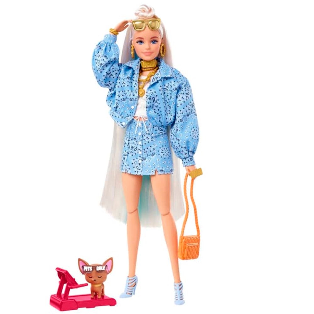 Barbie Ekstra Bebek ve Aksesuarları HHN08 Barbie HHN08