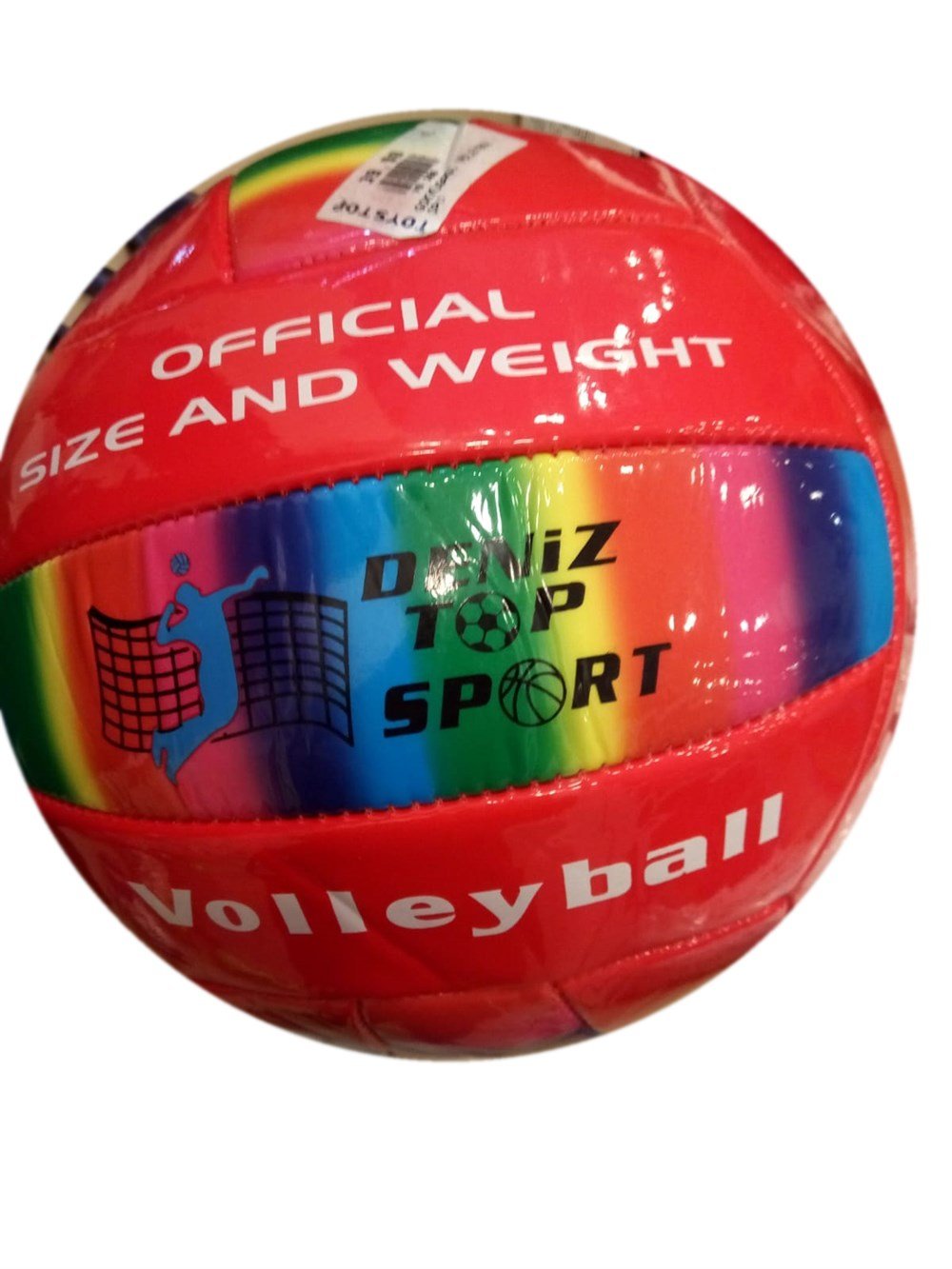 GOKKUSAGI VOLEYBOL TOPU Diğer VB 300