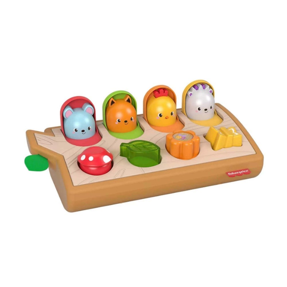 Fisher Price Sürprizli Arkadaşlar GJW24 Fisher Price GJW24