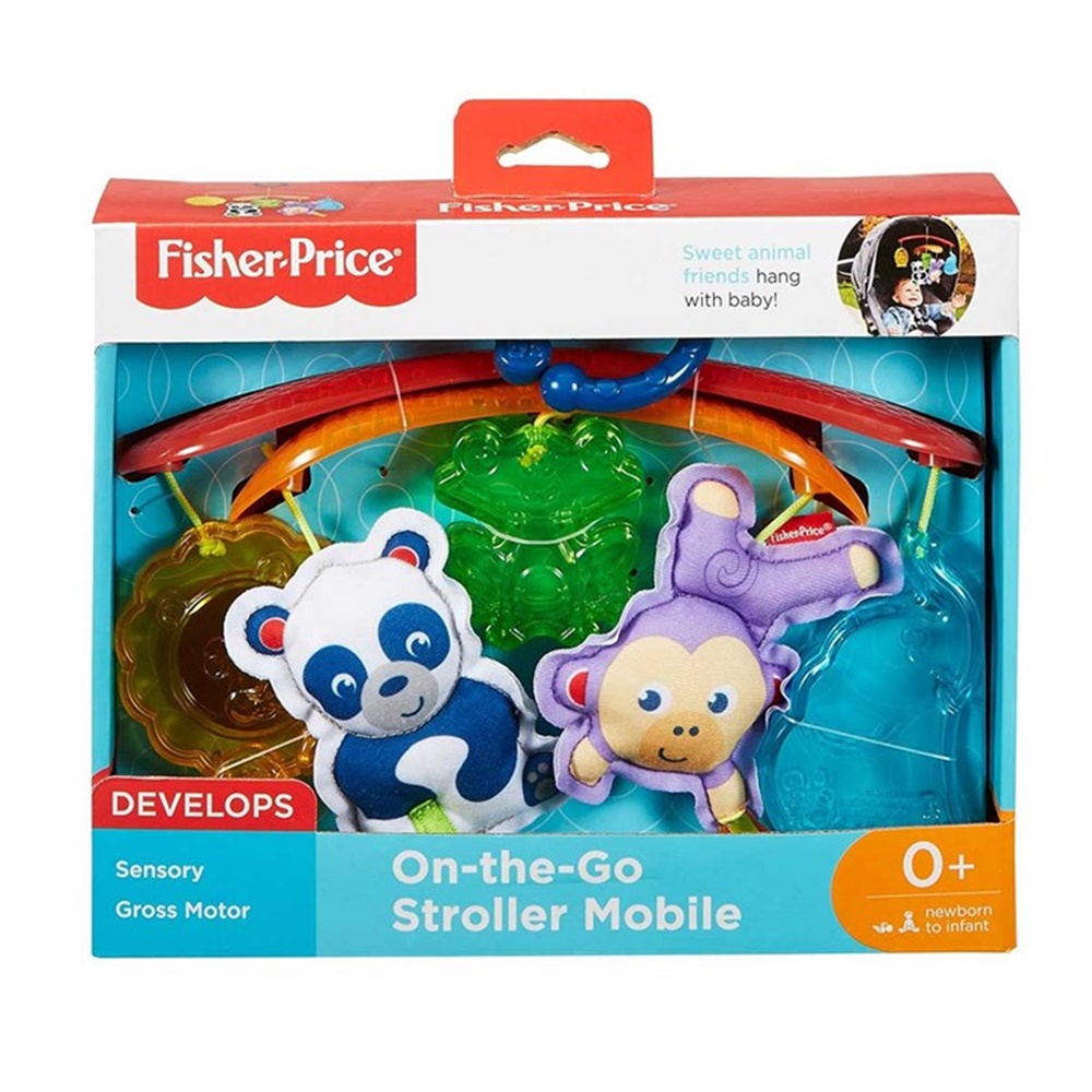 Fisher Price Mini Dönence DYW54